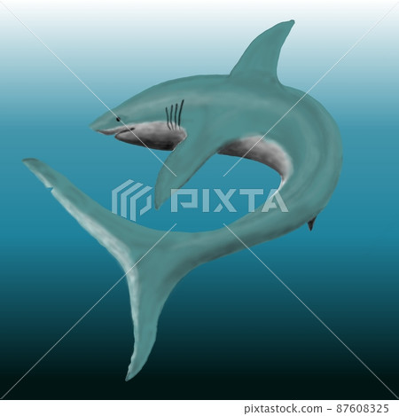 Illustration of a shark swimming in the sea 87608325