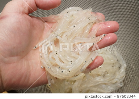 White fish White fish 87608344