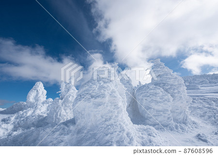 Yamagata Zao's white silver world rime 87608596