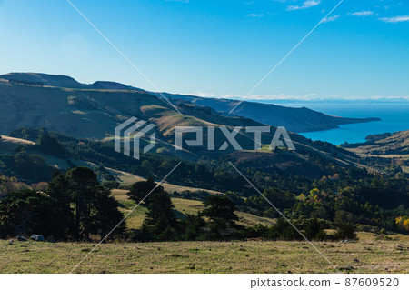 A view of the Banks Peninsula from a hill on the outskirts of Akaroa, a town on the South Island of New Zealand 87609520