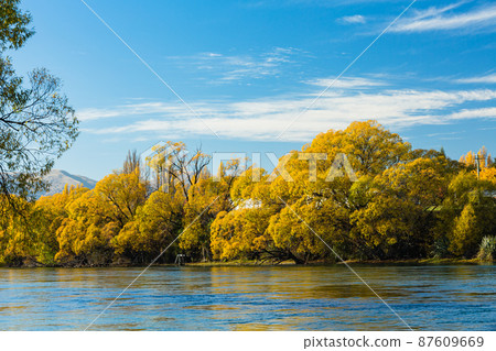 新西蘭奧塔哥阿爾伯特鎮庫爾薩河和秋葉的樹木 87609669