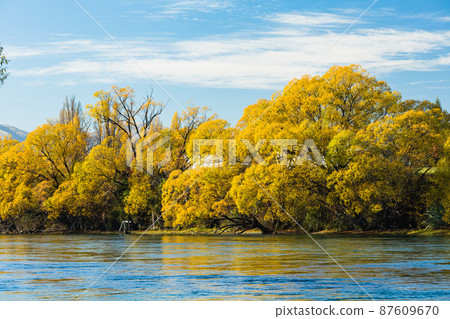 新西蘭奧塔哥阿爾伯特鎮庫爾薩河和秋葉的樹木 新西蘭奧塔哥阿爾伯特鎮庫爾薩河和秋葉的樹木 87609670
