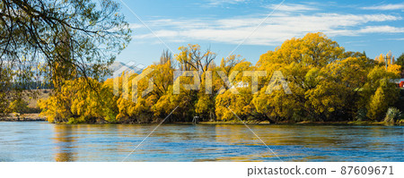 新西蘭奧塔哥阿爾伯特鎮庫爾薩河和秋葉的樹木 87609671