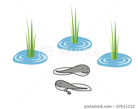 May_early summer rice 87611252