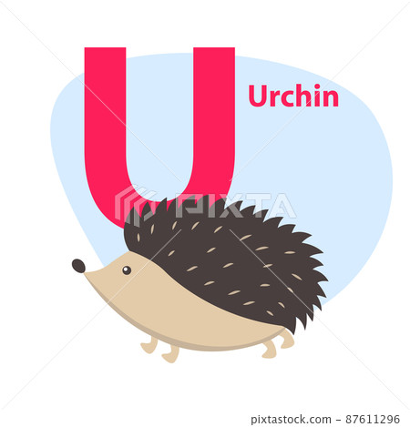 Zoo ABC Letter with Cute Urchin Cartoon Vector Zoo ABC Letter with Cute Urchin Cartoon Vector 87611296
