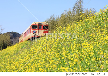 夷隅鐵道“油菜花開的堤壩和懷舊的特快列車” 87612131