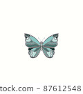 Butterfly illustration material gray light blue 87612548