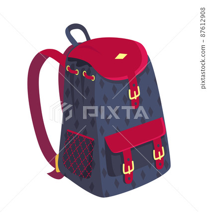 Side View on Fashionable Model of Kids Backpack 87612908