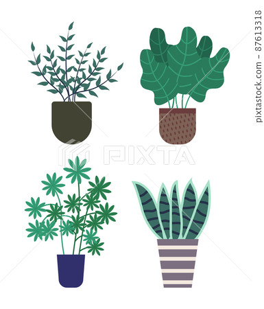 Haworthia Pot with Soil, Foliage and Flora Set 87613318