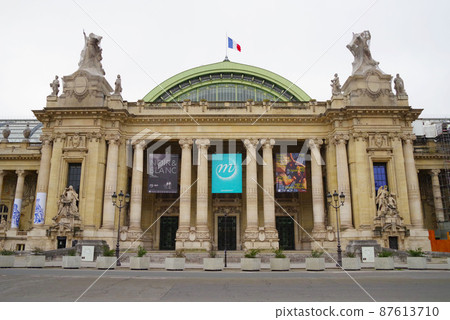 Petit Palais in Paris Petit Palais in Paris 87613710