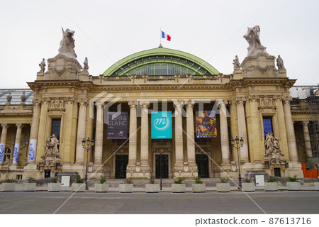 Petit Palais in Paris 87613716