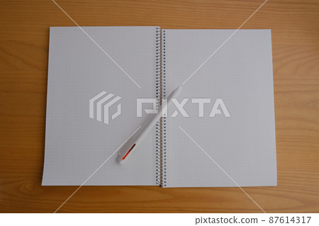 Notebook graph paper pen Notebook graph paper pen 87614317