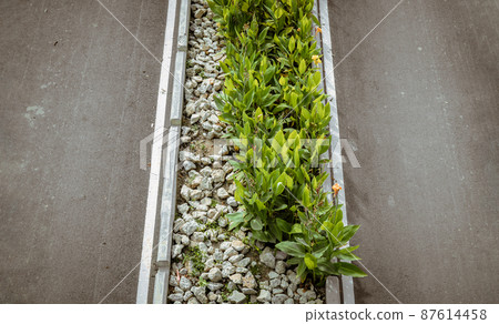 Ornamental green trees or bush plants blooming and stone pile over median strip and Empty road. Ornamental green trees or bush plants blooming and stone pile over median strip and Empty road. 87614458