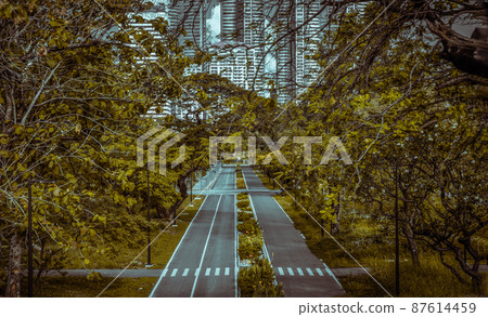 Trails for running and cycling in a large city park in the center of the city. Empty street, Relax in park, Trails for running and cycling in a large city park in the center of the city. Empty street, Relax in park, 87614459