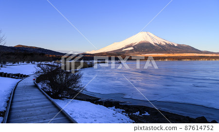 (Yamanashi Prefecture) Superb view of frozen Yamanakako and Mt. Fuji 87614752
