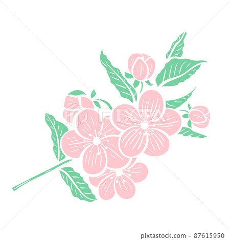 Flowering tree branch isolated object 87615950