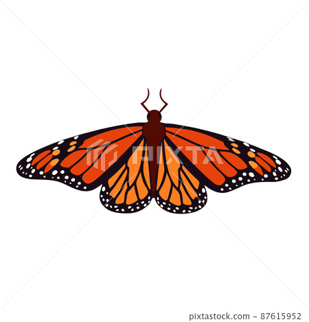 Monarch butterfly isolated vector illustration 87615952