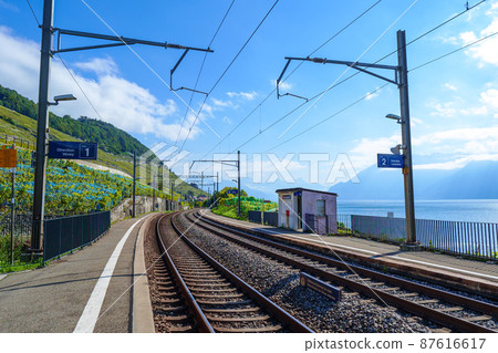 Vineyards and Lake Geneva (Switzerland) in the Lavaux area from Epesses station Vineyards and Lake Geneva (Switzerland) in the Lavaux area from Epesses station 87616617