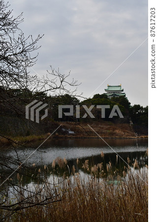 Nagoya Castle 094 Nagoya Castle 094 87617203