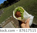 Falafel wrap 87617515
