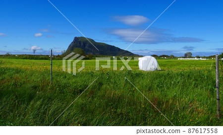 Bale of hay wrapped in plastic foil, Norway Bale of hay wrapped in plastic foil, Norway 87617558
