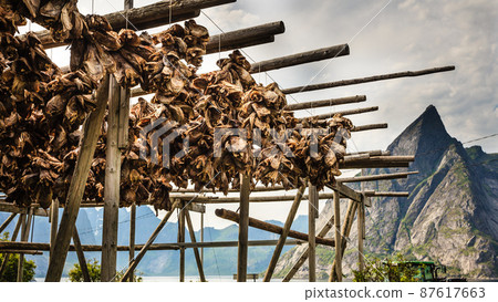 Cod Stockfish.Industrial Fishing in Norway Stock Photo - Image of