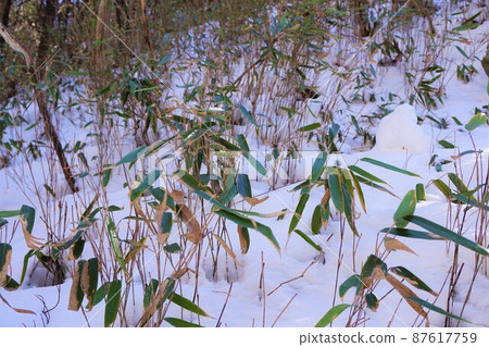 雪山 瀧澤笹的不動瀑布 不動大瀧群馬縣指定名勝 赤木山幕府瀑布 冰瀑 87617759