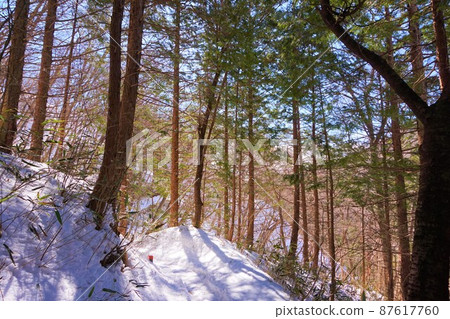 雪道 雪山 瀧澤不動瀑布 不動大瀧群馬縣指定風景名勝區 赤木山幕府瀑布 冰瀑 87617760
