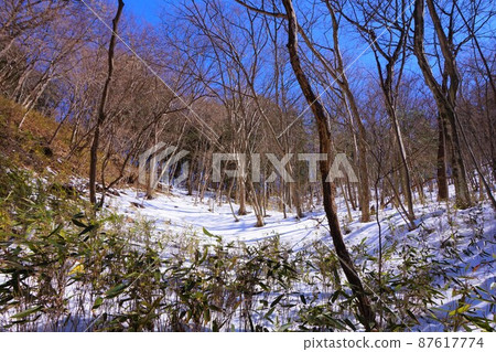 Snowy road Snowy mountain Takizawa's Fudo waterfall Fudo Otaki Gunma prefecture designated scenic spot Akagiyama Bakufu waterfall Ice waterfall 87617774