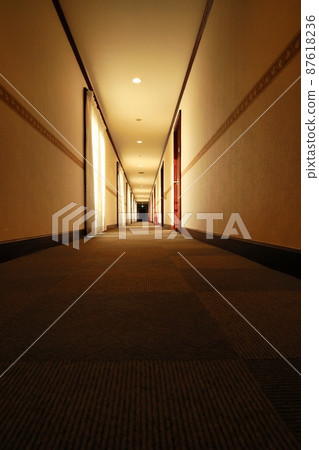 A hotel corridor heading to the back in the dark with nobody 87618236