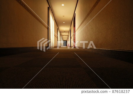 A hotel corridor heading to the back in the dark with nobody A hotel corridor heading to the back in the dark with nobody 87618237