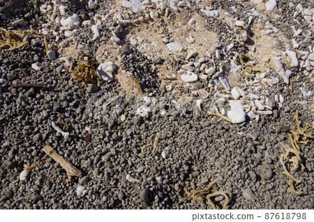 Pumice stone Fukutoku-Okanoba eruption submarine volcano that arrived at Amami Oshima 87618798