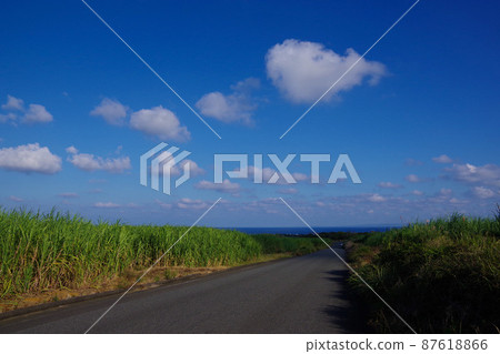 Tropical image Sugar cane Amami Oshima Iwo Jima Everlasting summer scenery Blue sky 87618866