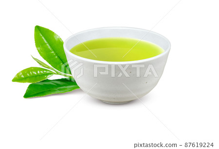 Green tea Sencha Teacup Illustration Real Green tea Sencha Teacup Illustration Real 87619224