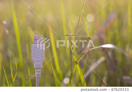 White USB cable on grass - green technology. 87620533