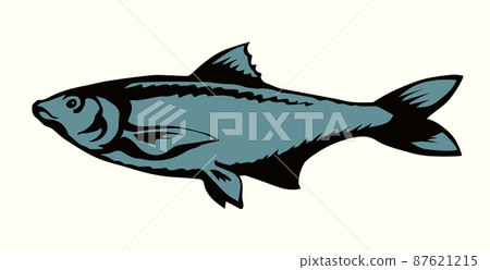 Big sea fish. Vector drawing Big sea fish. Vector drawing 87621215