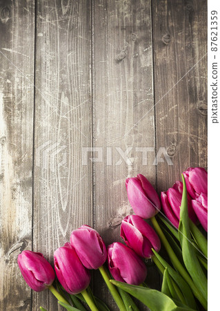 Spring tulips flowers on a old wooden background Spring tulips flowers on a old wooden background 87621359