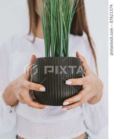 female hands hold a pot with a green plant. selective focus 87621374