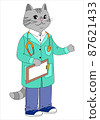 Doctor Cat. Veterinary clinic character vector illustration 87621433