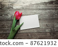 Pink Tulips and gift card on a wooden background. Space for the text. Top view 87621932