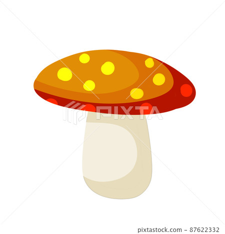 Mushroom with a red cap. Natural natural product. Mushroom with a red cap. Natural natural product. 87622332