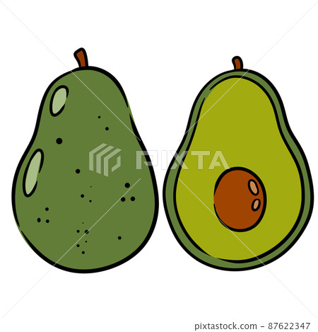 Avocado. Vector Green fruit set isolated on white 87622347