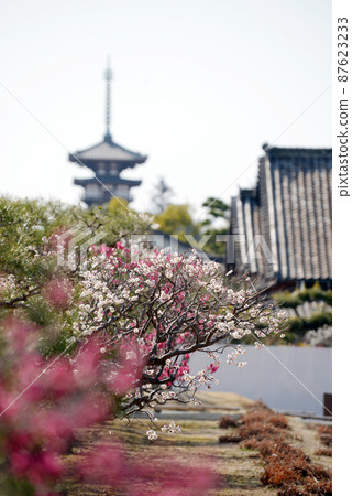 藥師寺 奈良市西京町 87623233