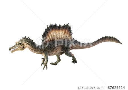 Spinosaurus , dinosaur on white background . 87623614