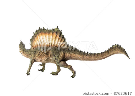Spinosaurus , dinosaur on white background . Spinosaurus , dinosaur on white background . 87623617