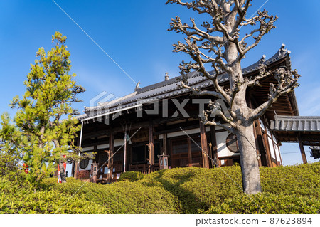 法師寺(法師寺) 法師寺(法師寺) 87623894