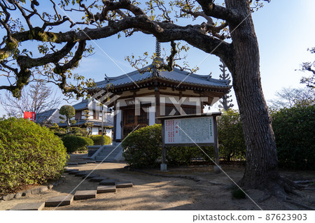 法師寺（法師寺） 87623903