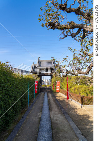 法師寺（法師寺） 87623905