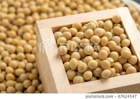 大豆 大豆 87624547