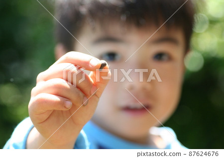 Gardening showed me a pill bug that my child found 87624676